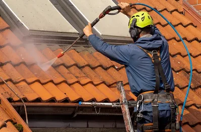 Démoussage et hydrofuge de toiture à Monlong